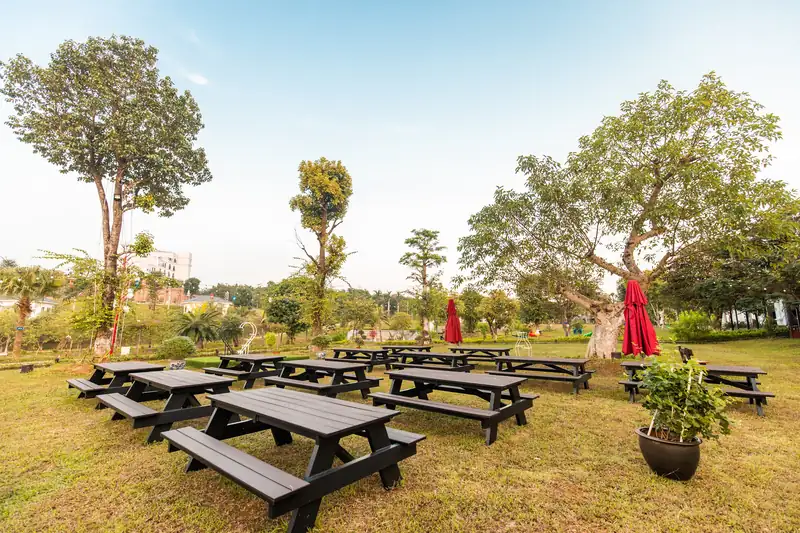 Dãy bàn ghế gỗ khu BBQ trên bãi cỏ giữa vườn cây, trời xanh buổi sáng
