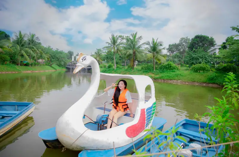 Du khách mặc áo phao đạp thuyền thiên nga trắng trên hồ, hai bên bờ là hàng dừa
