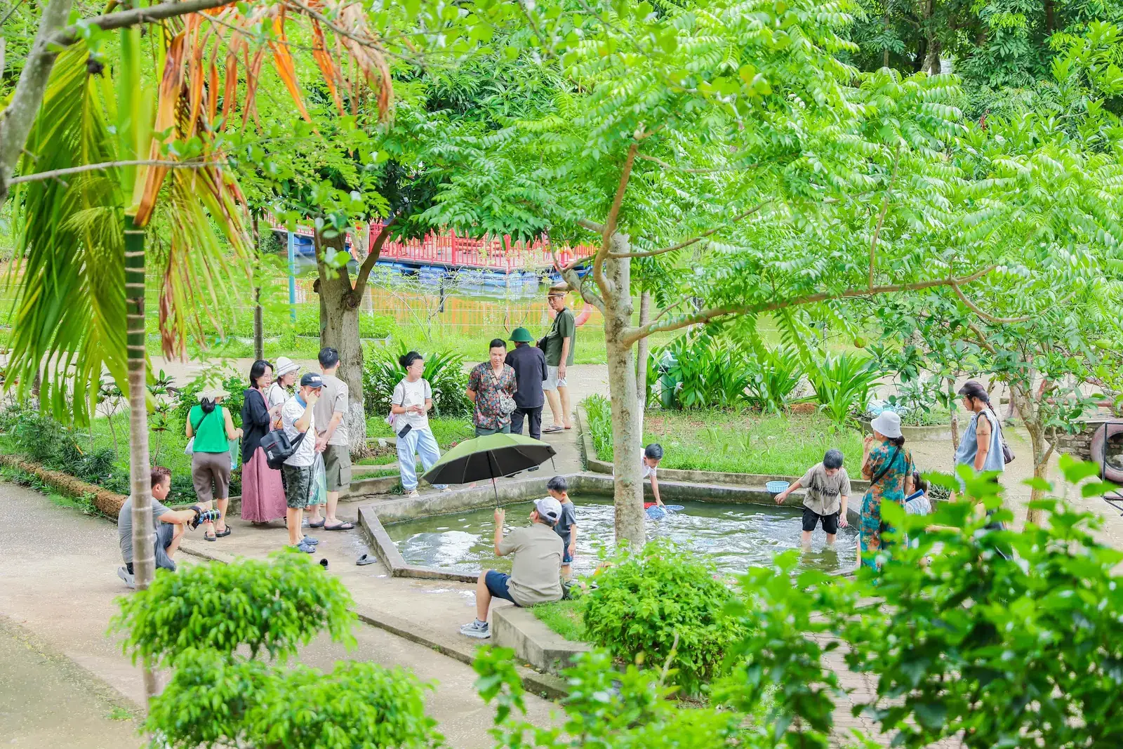 Gia đình và trẻ em bắt cá trong ao nhỏ giữa vườn cây xanh ở Glory Farm