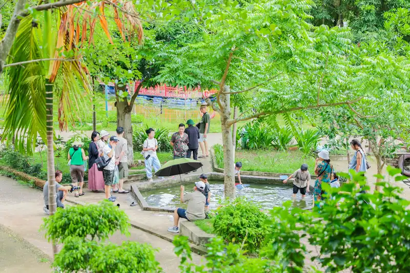 Gia đình và trẻ em bắt cá trong ao nhỏ giữa vườn cây xanh ở Glory Farm