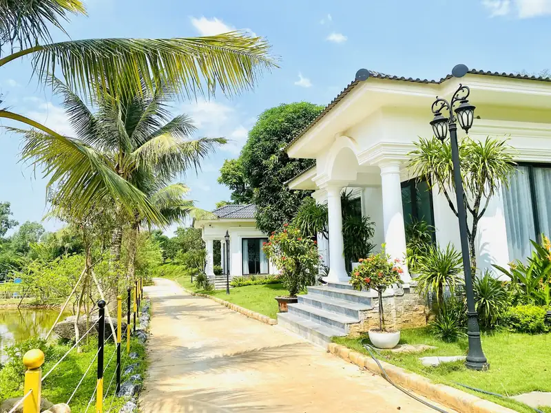 Lối đi lát đá giữa hàng dừa dẫn tới các căn LakeSide Villa trắng mái ngói xám