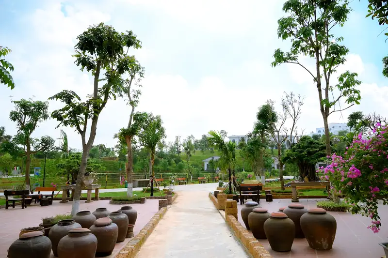 Lối đi lát gạch giữa hàng chum sành, cây cổ thụ và bụi hoa giấy khu nhà cổ